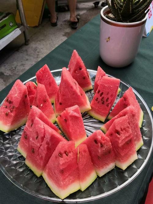 句容吃瓜大赛视频播放时间,句容吃瓜大赛视频播放时长揭秘