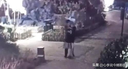 晴空吃瓜视频完整版,揭秘视频背后的精彩瞬间与幕后故事