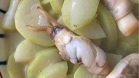 刘大瓜吃蛏子是哪一集视频,揭秘美食达人挑战海鲜美味瞬间