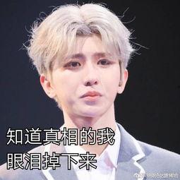 吃瓜八卦蔡徐坤视频大全,揭秘娱乐圈背后的八卦风云