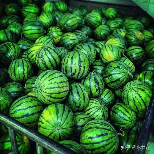 大连地区吃瓜视频,吃瓜视频带你领略本地美食文化