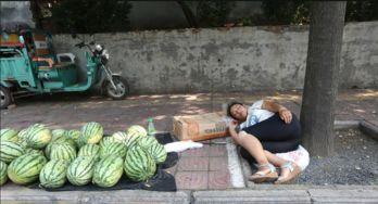 砀山县吃瓜事件视频曝光,视频曝光揭示惊人真相