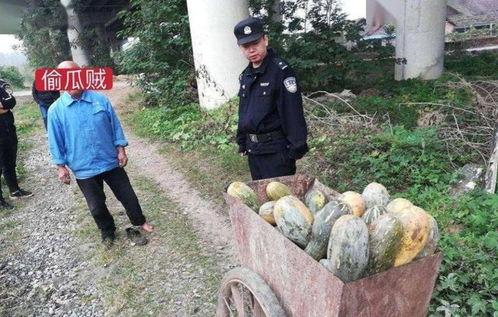 砀山县吃瓜事件视频曝光,视频曝光揭示惊人真相