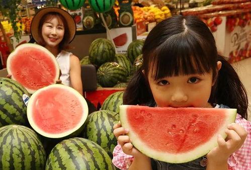吃瓜视频最全观看免费,免费畅享热门娱乐瞬间