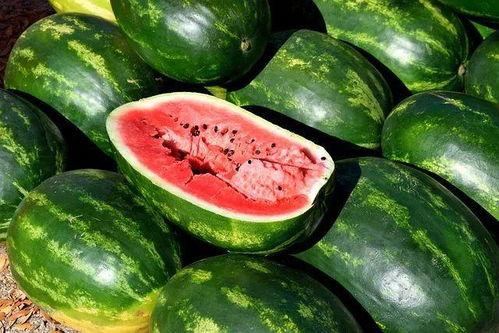 韩城吃瓜 杀手视频大全,揭秘热门视频背后的惊悚故事