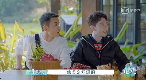 汪苏泷吃瓜视频大全播放,趣味瞬间，笑点连连