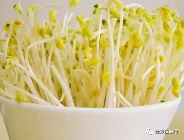 蜜瓜长的豆芽可以吃吗视频,意想不到的食用新发现