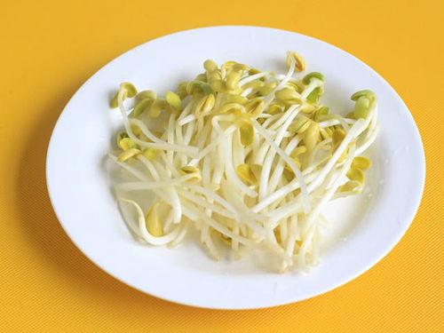 蜜瓜长的豆芽可以吃吗视频,意想不到的食用新发现