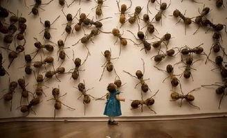 情景剧蚂蚁吃瓜视频,瓜田里的美味冒险