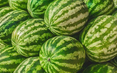 吃瓜视频从哪找素材啊,素材搜集攻略大公开