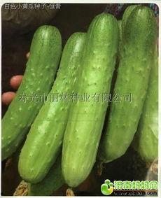 吃瓜视频从哪找素材啊,素材搜集攻略大公开