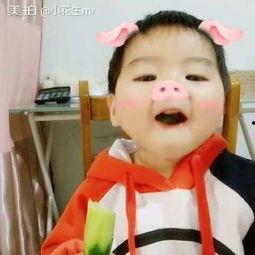 小猪吃瓜小视频