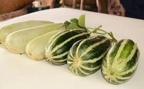 网红吃瓜视频在哪里找到,热门平台及制作技巧大揭秘