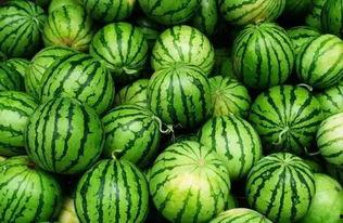 史上最铁的吃瓜视频,揭秘娱乐圈幕后真相