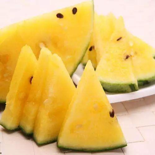 史上最铁的吃瓜视频,揭秘娱乐圈幕后真相