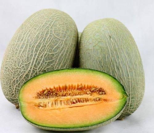 吃哈密瓜视频沉浸式看,跟随镜头品味哈密瓜的甘甜魅力