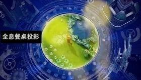 吃哈密瓜视频沉浸式看,跟随镜头品味哈密瓜的甘甜魅力