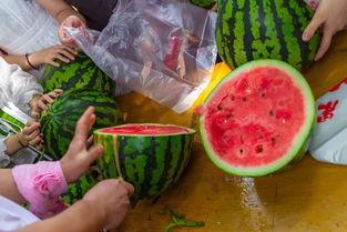 报复性消费吃瓜视频,吃瓜视频背后的消费心理解析