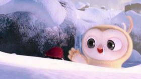 吃瓜搞笑经历大全视频,笑料横生！揭秘吃瓜搞笑经历大全视频