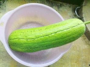 水瓜减肥怎么吃最好视频,视频揭秘最佳食用方法