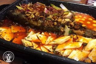 吃瓜群众的鱼完整视频,一场网络热传的趣味盛宴