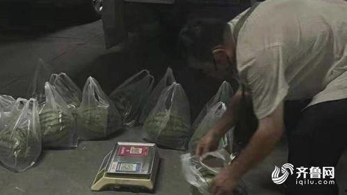 山东吃瓜中毒事件始末视频,一场意外引发的食品安全警钟