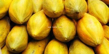 吃瓜包浆视频大全,揭秘美食背后的趣味故事