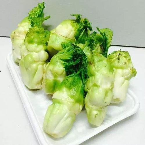 东北人吃茭瓜视频大全