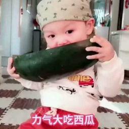 小崽子吃瓜视频,揭秘娱乐圈幕后故事