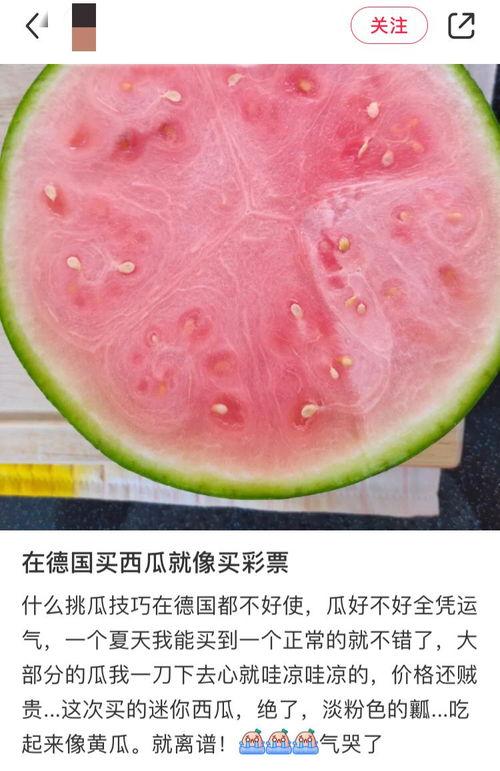 全网各地吃瓜视频,各地特色美食视频大盘点