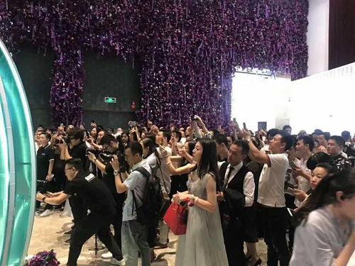 温州婚礼圈吃瓜视频大全