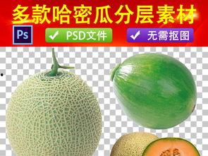 吃哈密瓜视频模板下载,跟随视频模板解锁夏日清凉秘籍