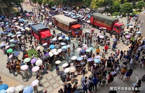 各大高校吃瓜免费视频,免费视频带你一网打尽校园热点