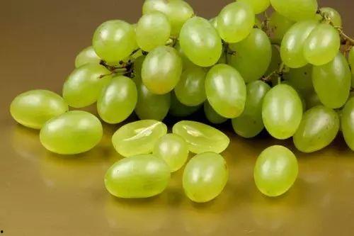 提子视频吃瓜系列