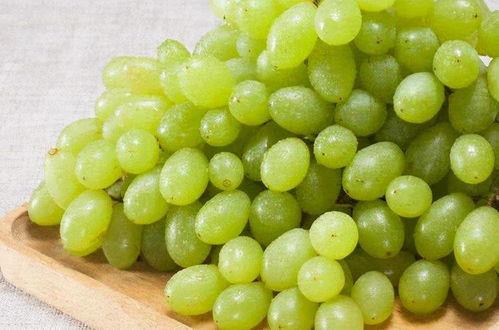 提子视频吃瓜系列