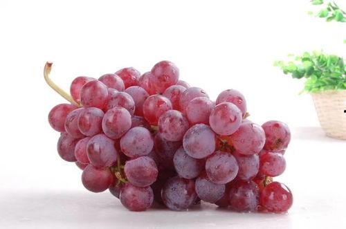 提子视频吃瓜系列