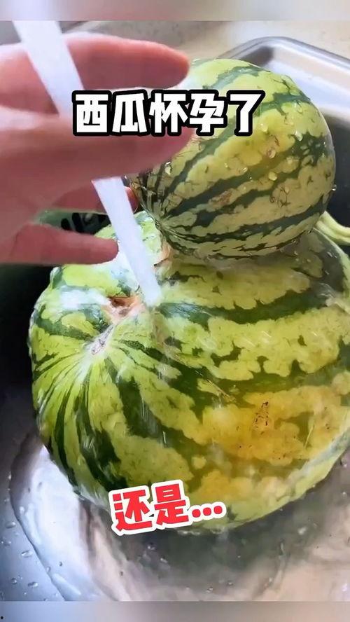 恶搞吃瓜配音视频,恶搞吃瓜视频，笑料横生！