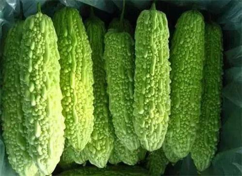 广西南宁校园吃瓜视频,一场校园吃瓜视频引发的校园热议