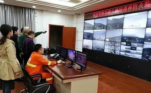 虞山吃瓜视频,揭秘网红美食背后的故事