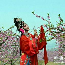 秦腔赶坡吃瓜视频,一场别开生面的民俗盛宴