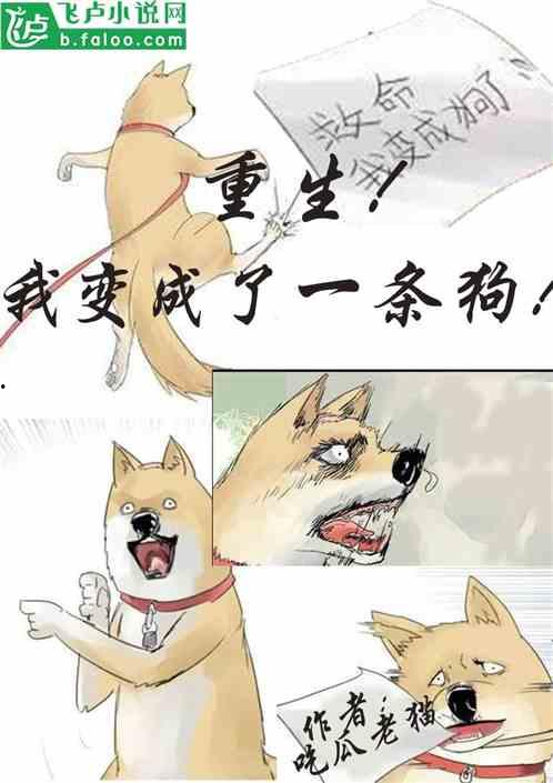 搞笑猫吃瓜配音视频下载,搞笑配音视频笑翻网友