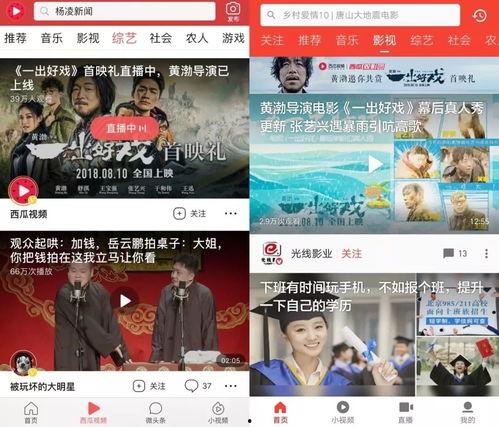 泰盛吃瓜现场直播视频下载,现场精彩瞬间大盘点