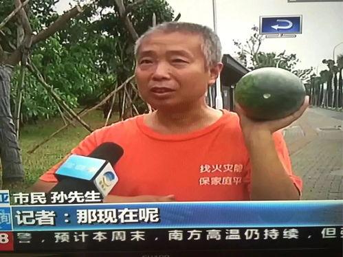 最新吃瓜热门事件网站视频,视频曝光惊人内幕