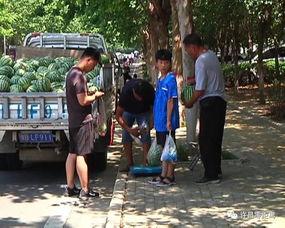 邹平吃瓜群众事件视频曝光,视频曝光揭示惊人真相