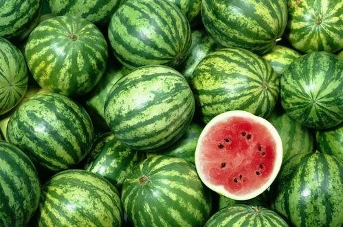 西北人吃龙瓜视频播放,龙瓜美食视频走红网络，揭秘地道西北美食文化