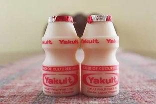 吃瓜养乐多视频,一场甜蜜的夏日美食之旅