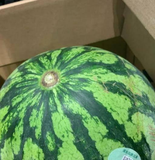 假吃瓜怎么做好吃的视频,跟着视频学做家常佳肴