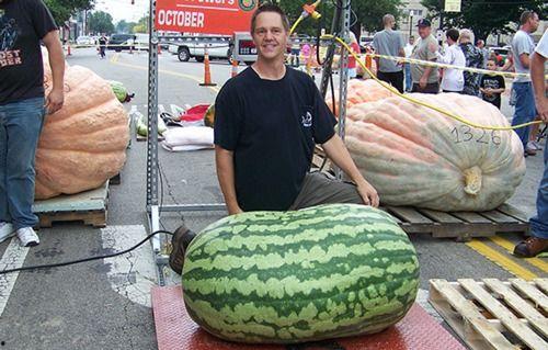 西昌吃瓜事件视频真实,一场引发热议的网络狂欢