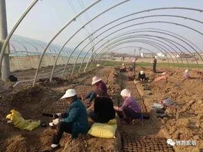 界首市吃瓜事件视频最新,一场引发热议的网络风波