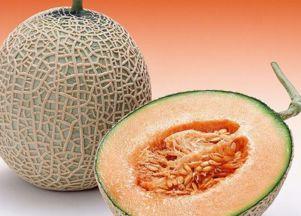 婆婆吃哈密瓜视频大全,甜蜜瞬间尽收眼底